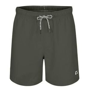 RIPT Essentials Mens Swim Shorts / Charcoal
